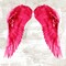 Angel Wings III Poster Print by Joannoo - Item # VARPDX1JO4010